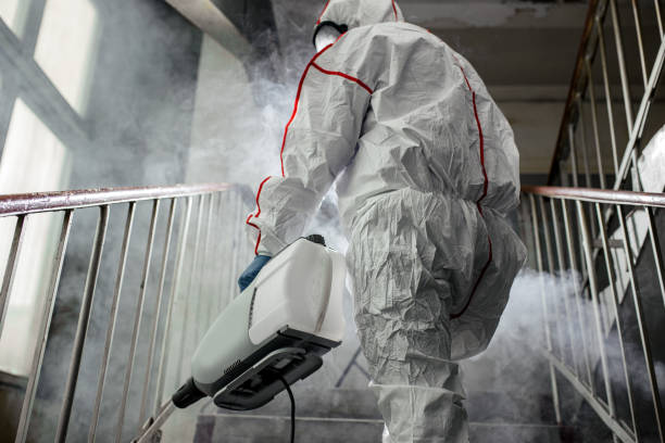 Biohazard Mold Removal in Reading, PA